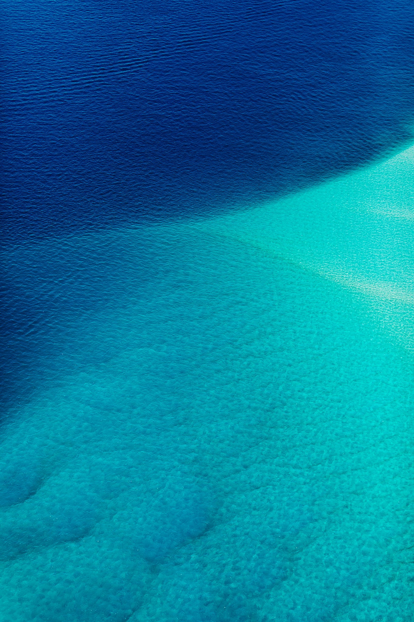 INTO THE DEEP II - A3 Australian Art Print