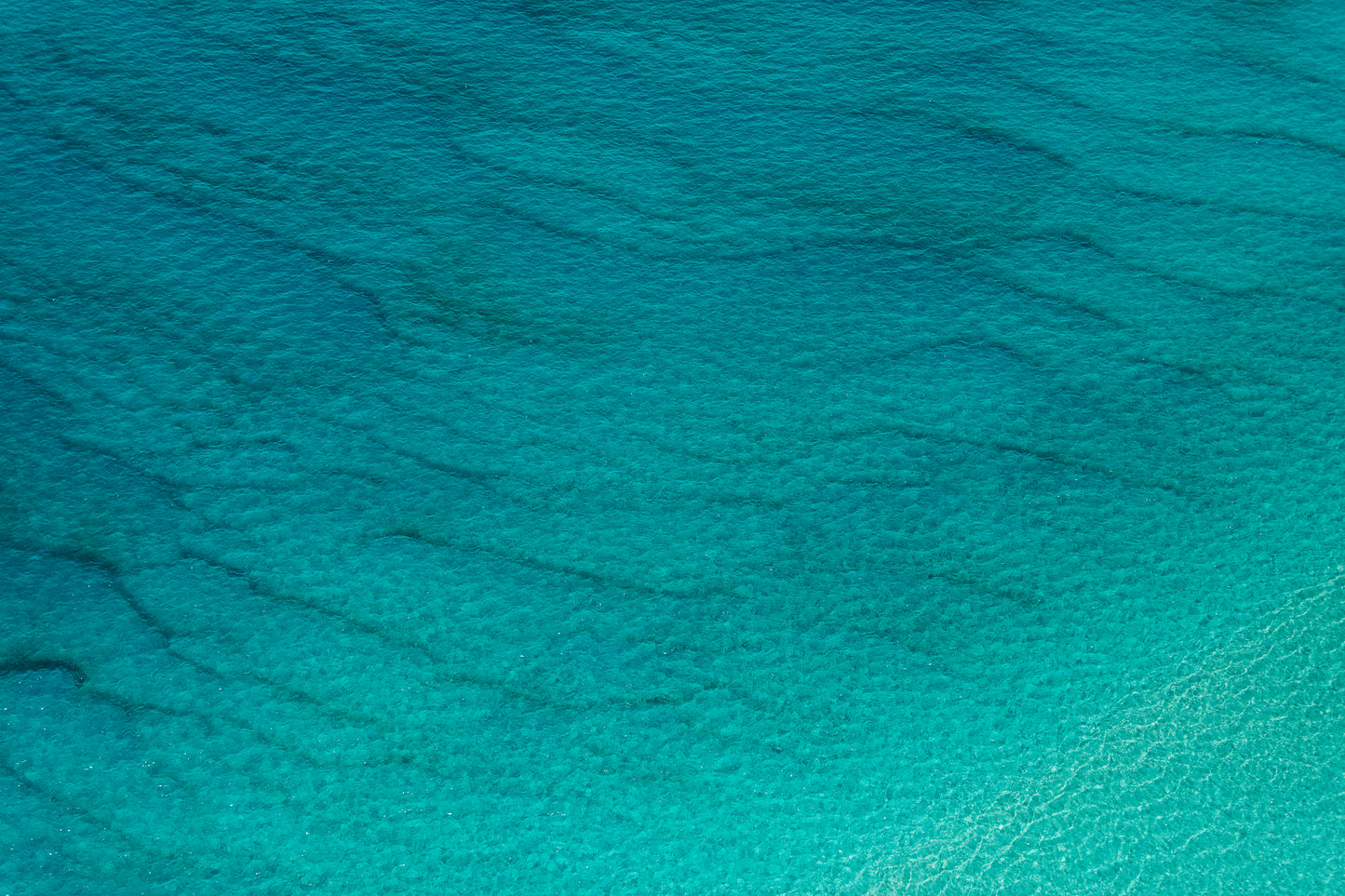 INTO THE DEEP III - A3 Australian Art Print