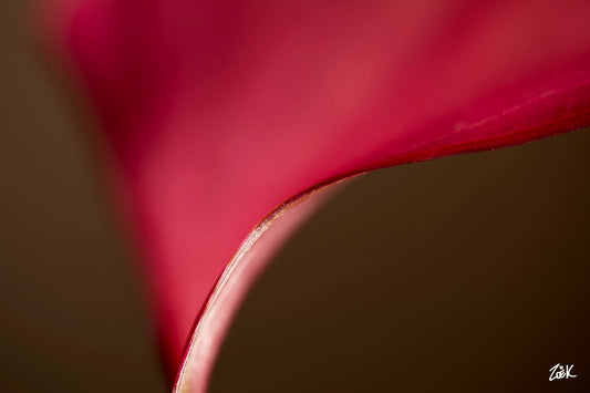 THE EDGE - A3 Australian Art Print