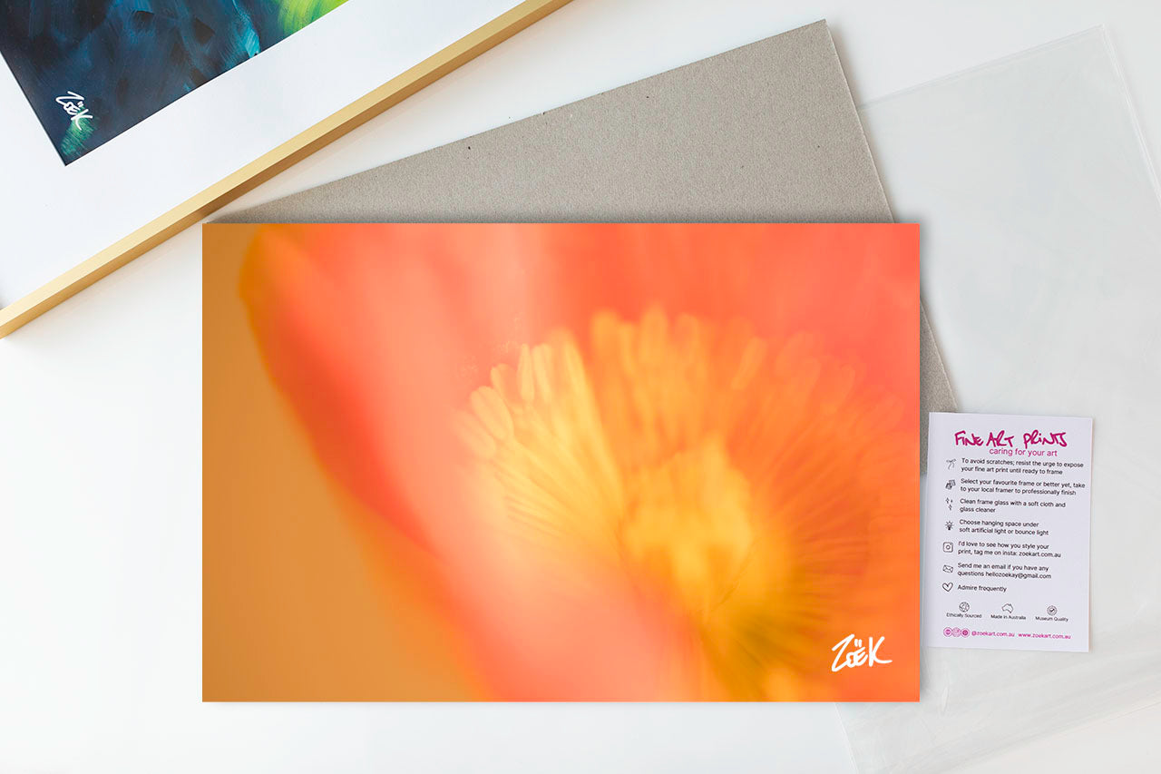 POPPY WONDER - A3 Australian Art Print